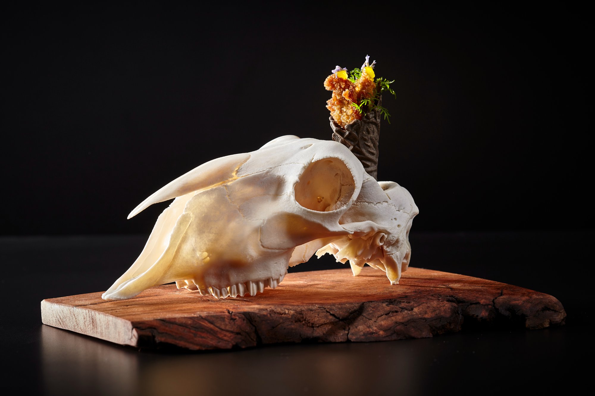 Euterra pop-up food photography featuring Chef Corey Bullock, Richmond VA